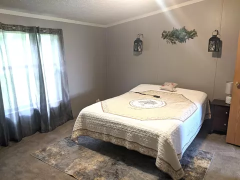 7126 Scottie Cir, Talbott, TN 37877 photo 9