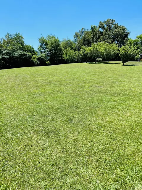 lot10 Fuller St, Newport, TN 37821