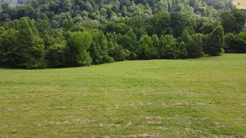 lot19 Smokey Quartz Blvd, New Tazewell, TN 37825