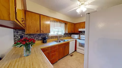 178 Britton Dr, Talbott, TN 37877 photo 10