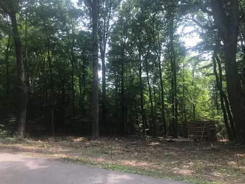550 Clint Wiliams Rd, Rutledge, TN 37861