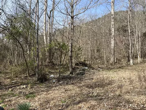 Tract #1 E 25/70 Highway, Del Rio, TN 37727