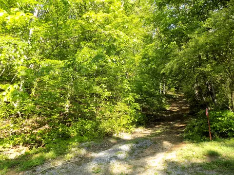 lot25 28 Brisk Way, Cosby, TN 37722