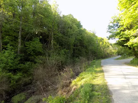 Par 023.01 Driftwood Road, Cosby, TN 37722