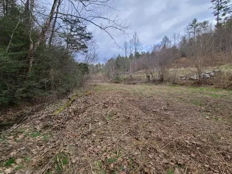 tbd Bear Branch Rd, Del Rio, TN 37727