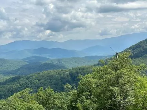 0000 Comet Way, Cosby, TN 37722