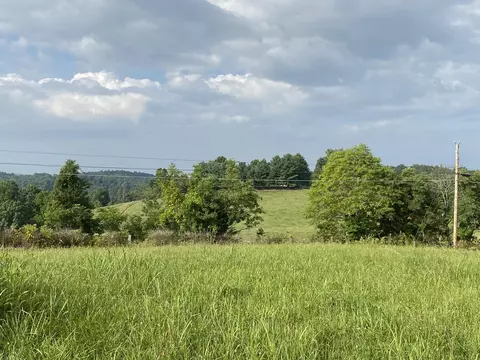 380 Widner Road Rd, New Tazewell, TN 37825