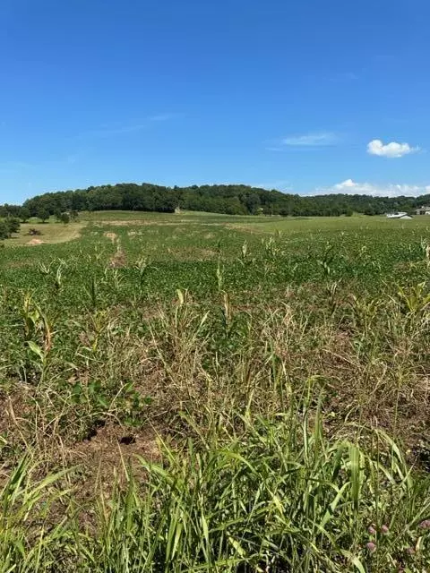 000 Fairfax Rd, Parrottsville, TN 37843