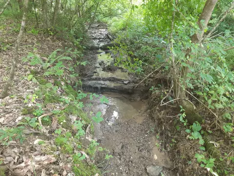 3689 Shady Springs Way, Newport, TN 37821