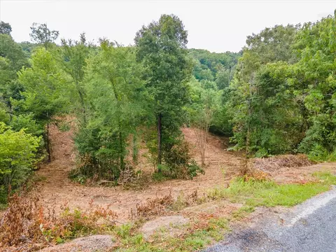 Lot 102 Stone Bridge Dr, Dandridge, TN 37725