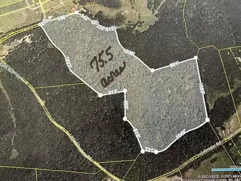 00 Little Chuckey Rd, Mosheim, TN 37818