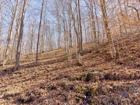 0 Poplar Grove Rd, Harrogate, TN 37752