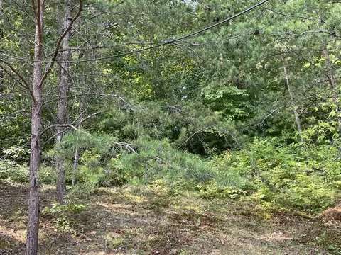 321 Noe Road Rd, Bean Station, TN 37708 photo 30