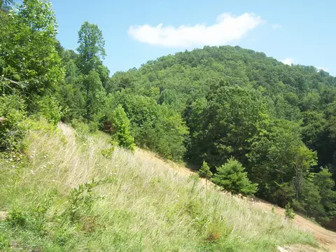 00 Tazewell Hwy, Sneedville, TN 37869