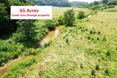65 Acres Fowlers Grove Rd, Newport, TN 37821
