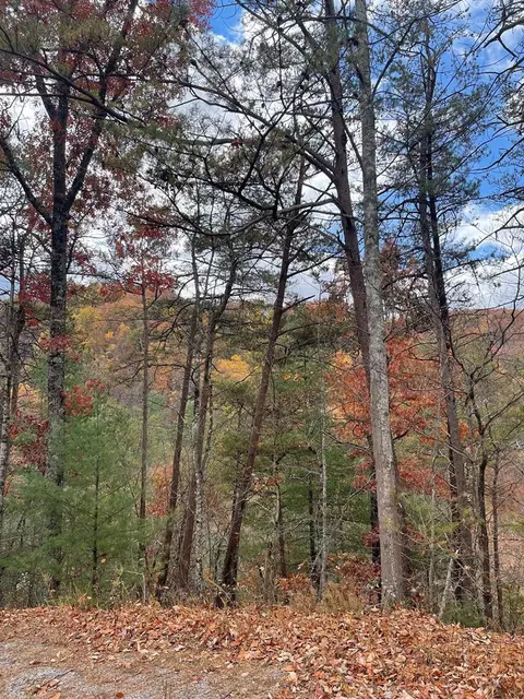 lot19 Sugar Maple Loop Rd, Sevierville, TN 37862