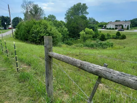 5588 Buell St, Talbott, TN 37877 photo 108