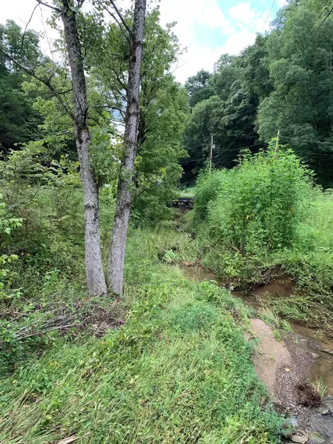 2151 Holt Town Rd, Newport, TN 37821