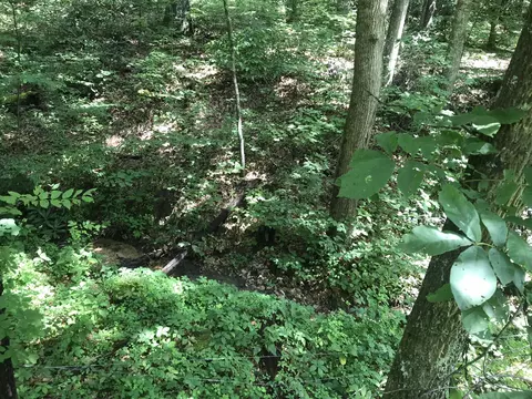 1124 Iris Way, Cosby, TN 37722