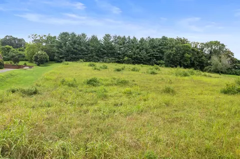 608 Cornfield Dr, White Pine, TN 37890 photo 2