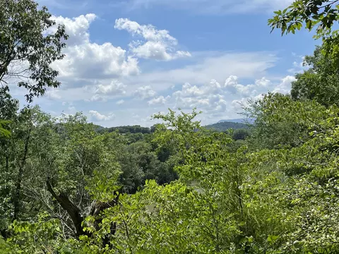 4107-4200 E 2570, Del Rio, TN 37727