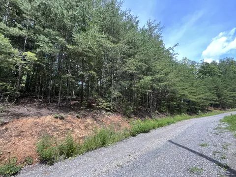 lot13 E 14 E 25 70 Hwy, Del Rio, TN 37727