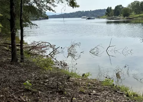 845-863 Harrison Ferry Rd, White Pine, TN 37890