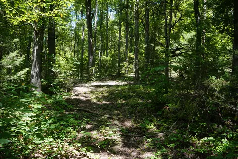 114 Rays Loop, Newport, TN 37821