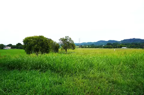 lot2 Mt Horeb, Jefferson City, TN 37760