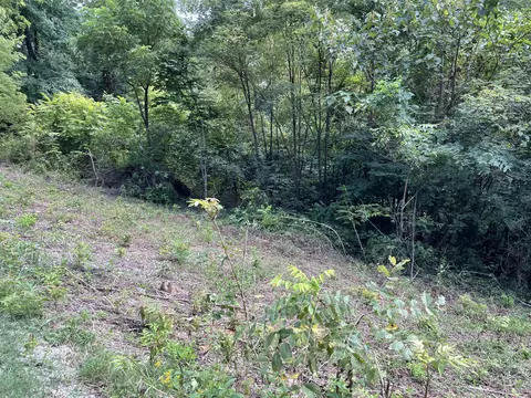 lot1 Dutchess Ln, Luttrell, TN 37779