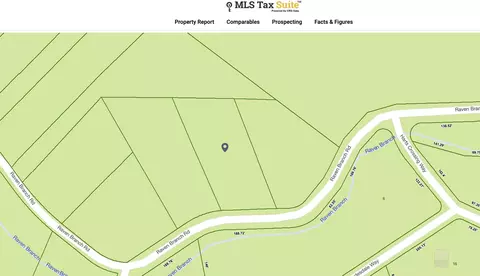 tbd Raven Branch Rd, Del Rio, TN 37727