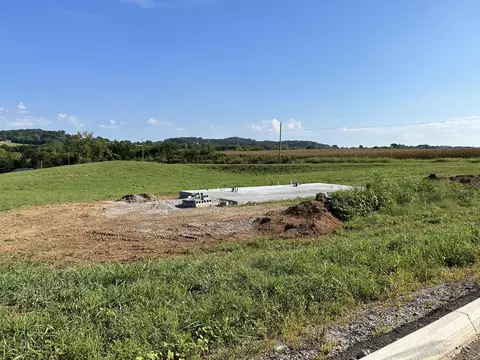 204 Maggie Way, New Market, TN 37820