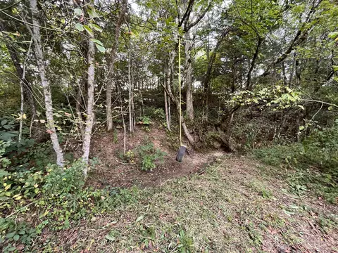 1895 Marshall Dr, Bybee, TN 37713 photo 27