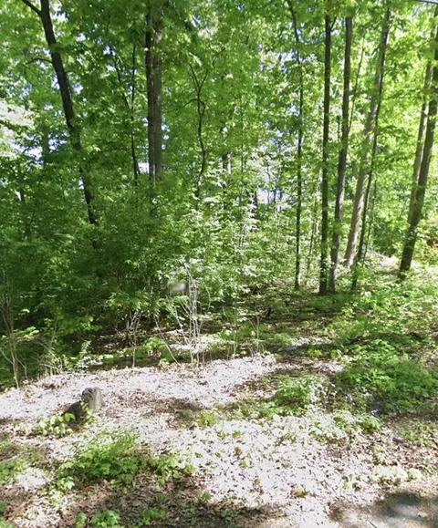 0 Fox Chase Rd, Newport, TN 37821