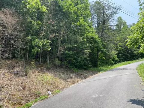 Lot 20 Point View Dr, Parrottsville, TN 37843