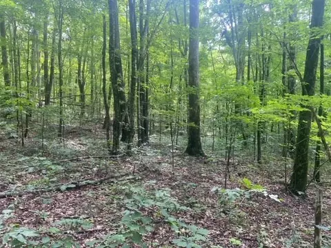Lot 3 Little Berry, Del Rio, TN 37727