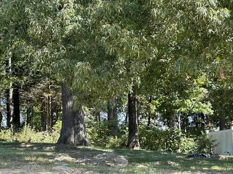 565 Arrowhead Loop, Midway, TN 37809 photo 3