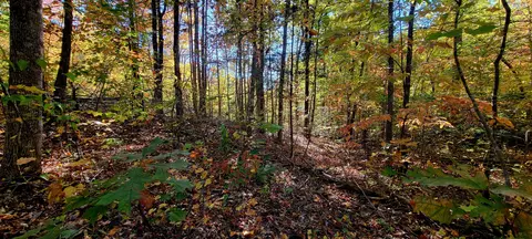 lot62 Dogwood Ct, Sevierville, TN 37876