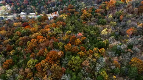 Tbd Highway 92, Rutledge, TN 37861