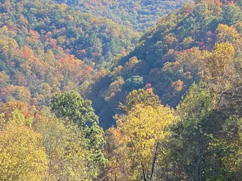 lot Apt 1 Rock Crk, Del Rio, TN 37727
