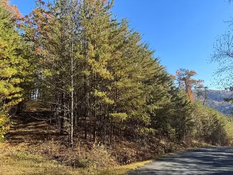 lot86 Bear Track Way, Del Rio, TN 37727