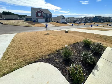 1244 Cole Dr, Talbott, TN 37877 photo 42