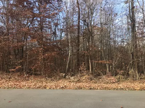0000 Clint Williams Rd, Rutledge, TN 37861