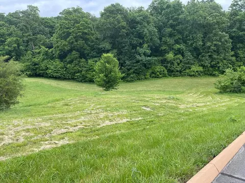 lot64 Cow Poke Ln, Rutledge, TN 37861