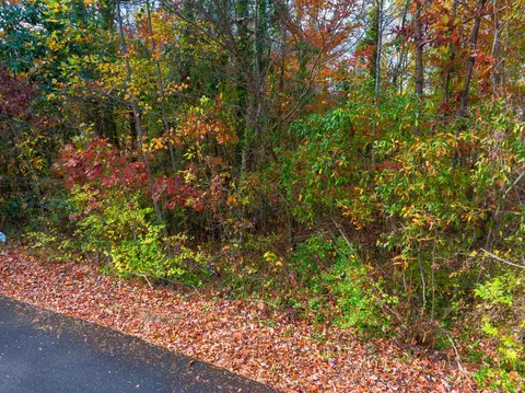 1 Smokey Drive Dr, Loudon, TN 37774