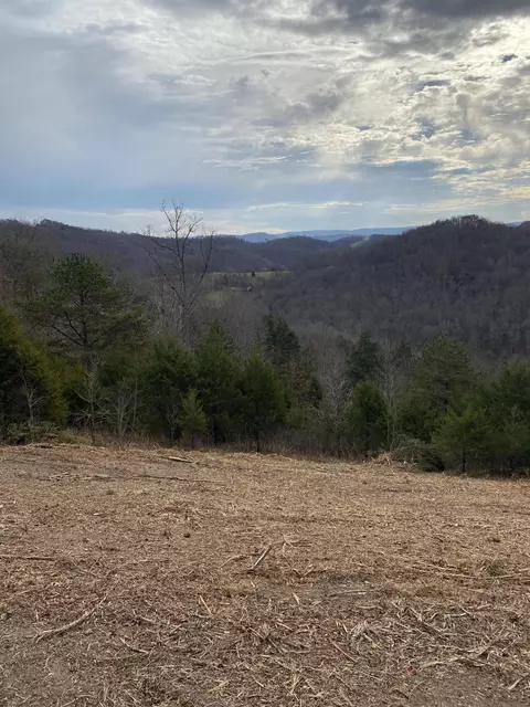 0 Cosby Ridge Road Rd, Harrogate, TN 37752