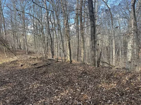 0 Shady Ln, Baneberry, TN 37890