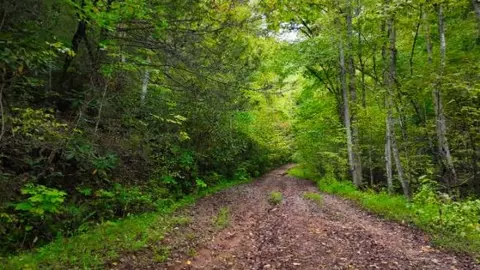 . Tanbark East Trail, Cosby, TN 37722