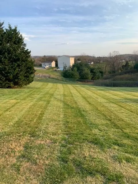 2127 Frank Hodge Rd, Talbott, TN 37877 photo 7