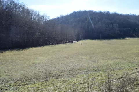 0 Eb Hollow Rd, Eidson, TN 37731 photo 7